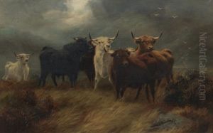 The Coming Storm by Robert F. Watson