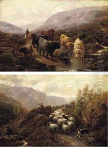 Highland Cattle (+ Herding Sheep; Pair)