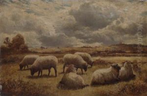 Sheep In A Highland Landscape Sheep In A Highland Landscape