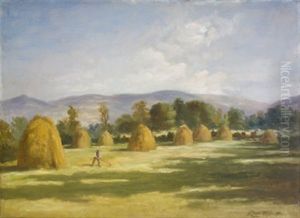 Raking Fields, Templeogue Raking Fields, Templeogue