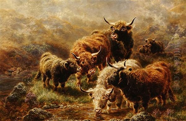 Highland Cattle - view 1