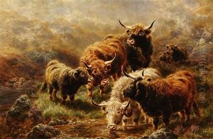 Highland Cattle by William Peter Watson