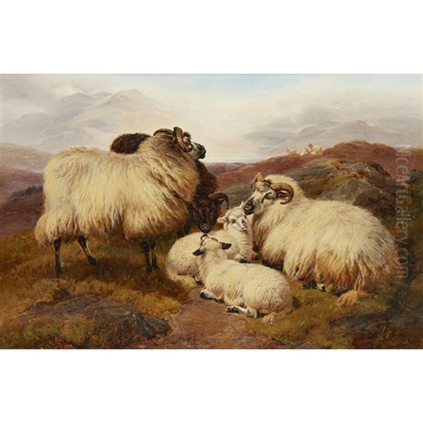 Sheep On A Hillside - view 1