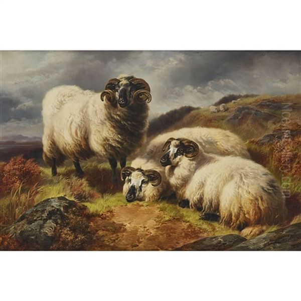 Long Horn Sheep In A Landscape - view 1
