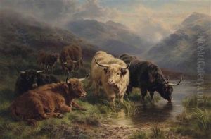 On The Moors, Tay Valley, Perthshire