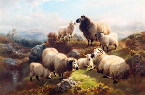 Sheep In The Highlands by William R.C. Watson
