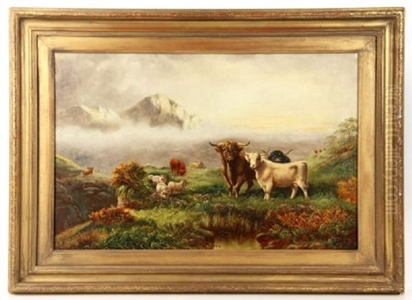 Scottish Steer And Cows - view 1