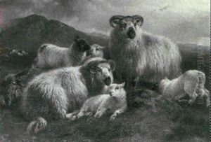 Sheep In The Highlands by William Stewart Watson
