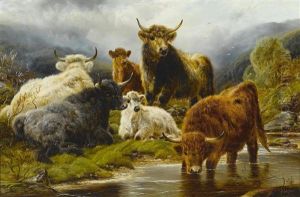 Highland Cattle; Highland Sheep (a Pair)