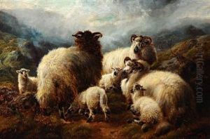 Mountain Goats