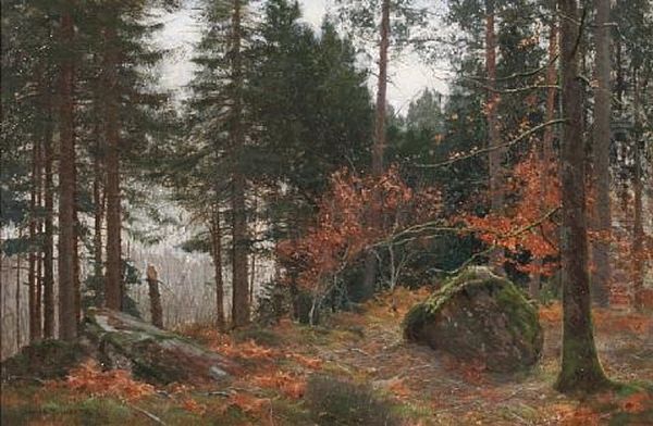 A Pine Wood In Winter - view 1