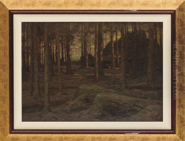 Sunlight In The Wood, Bettws-y-coed - view 1