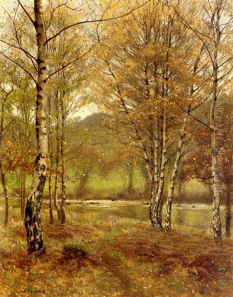 Silver Birch, Bettwys-y-coed, Wales - view 1