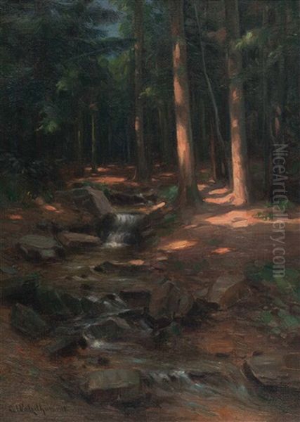 Stimmungsvolle Waldlandschaft Mit Bach - view 1