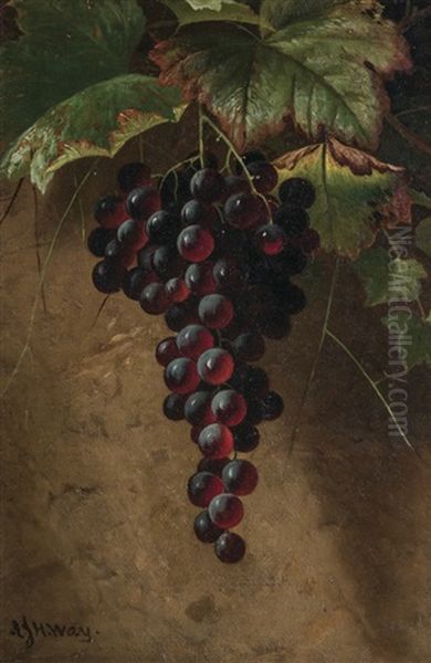 Still Life With Grapes - view 1