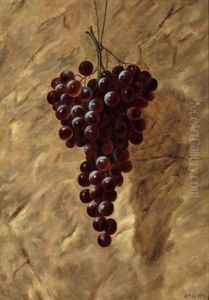 Red Grapes And Green Grapes (2) Red Grapes And Green Grapes (2)