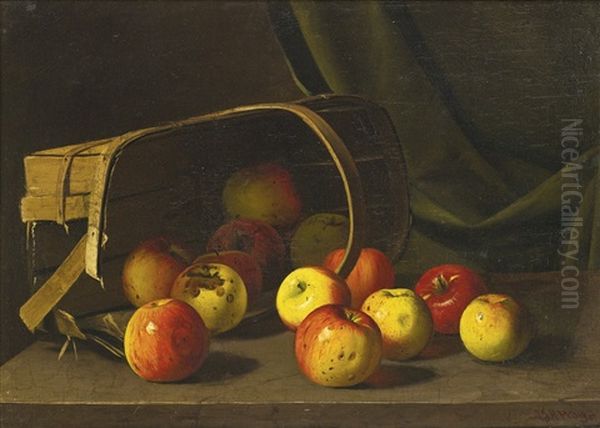 Apples Spilling From A Basket - view 1