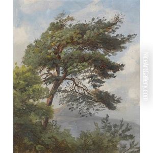 Landschaft Mit Einem Baum