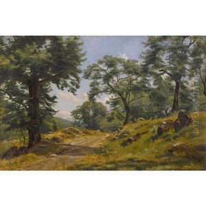 Lichter Waldweg