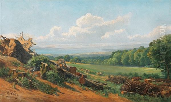 Waadtlander Landschaft Oberhalb Des Genfersees - view 1