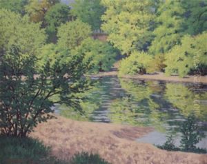 Forest Stream by Hedley Waycott