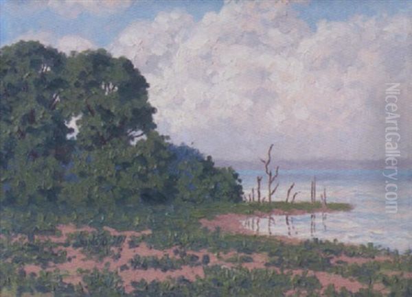Raven Landscape - view 1