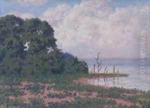 Raven Landscape