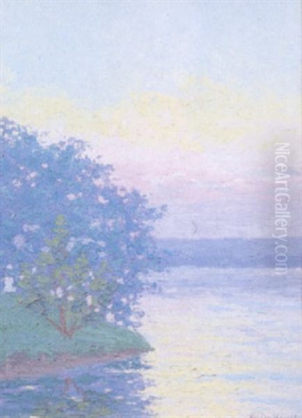 Reflective Waters - view 1