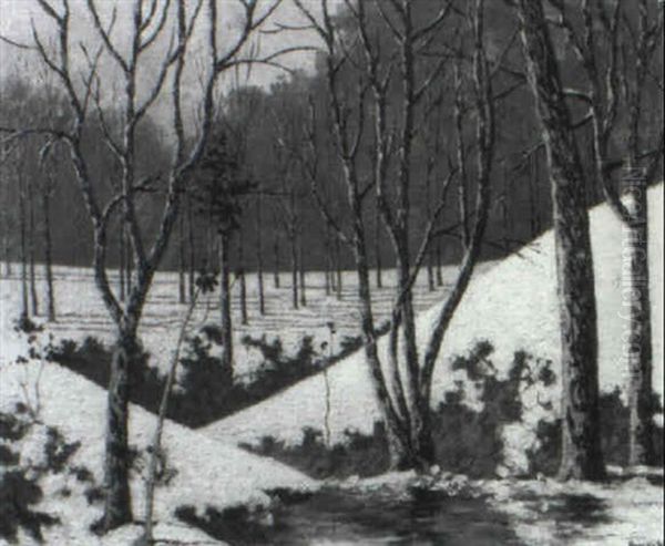 Melting Snow - view 1