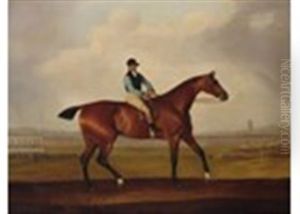 A Bay Racehorse With A Jockey Up, In The Colours Of John Tomes Of Long Marsden, On Chester Racecourse