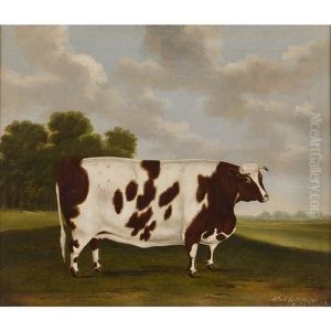 Pigeon, The Prize Cow Of Mr Price, 1816 by Thomas Weaver