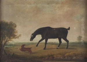 Portrait Of A Black Horse And Spaniel In A Landscape thumbnail