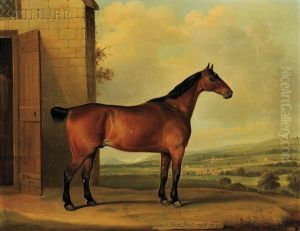 Coach Horse, Bob, Aged 21 Years by Thomas Weaver