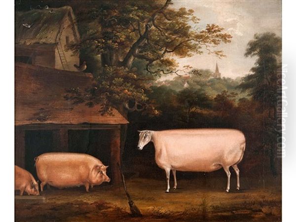 Ram With Two Pigs By A Sty - view 1