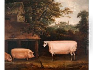 Ram With Two Pigs By A Sty