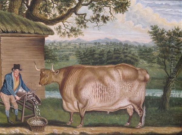 A Farmer Feeding His Prize Bull With A Mangelwurlitzer - view 1