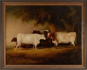 A Group Of Four Prize Cattle by Thomas Weaver