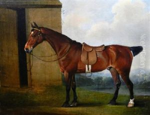 The Earl Of Powis's Racehorse Standing By A Stable In An Extensive Wooded Landscape
