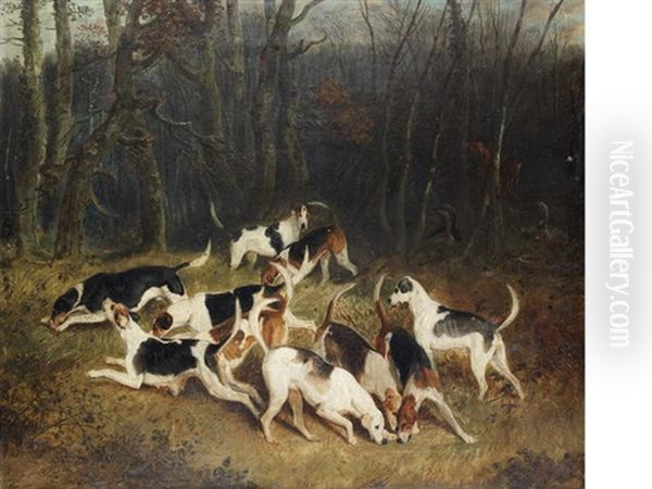 Hounds In A Covert - view 1