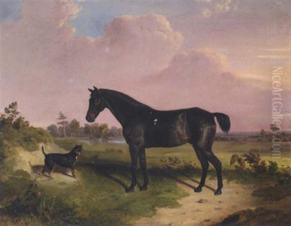 A Dark Bay Pony With A Terrier In A Landscape - view 1