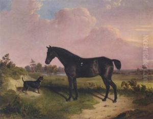 A Dark Bay Pony With A Terrier In A Landscape