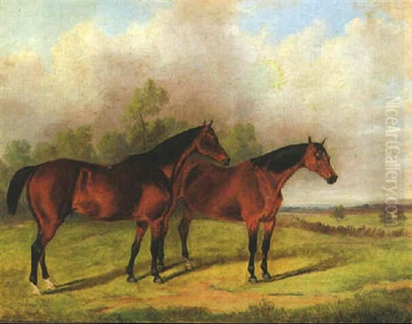 Bay Hunter In A Landscape - view 1