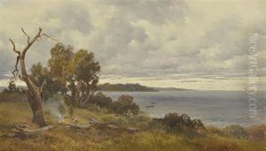 Lake Alexandrina by George Alfred John Webb
