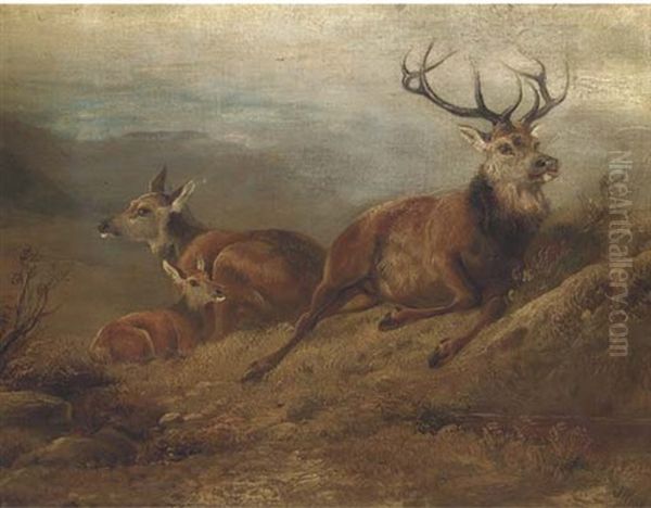A Stag, Hind And Doe In A Landscape - view 1