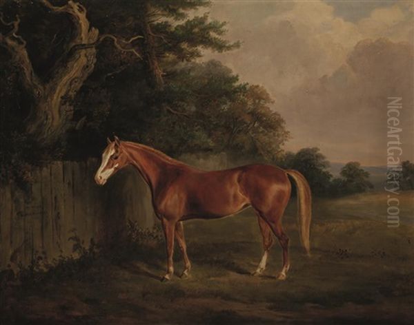 Kitty' A Horse In A Landscape - view 1
