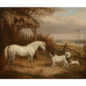 Grey Pony With Newfoundland And A Terrier Beside A Field Shelter