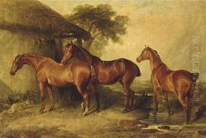 Bay Hunters By A Barn Bay Hunters By A Barn