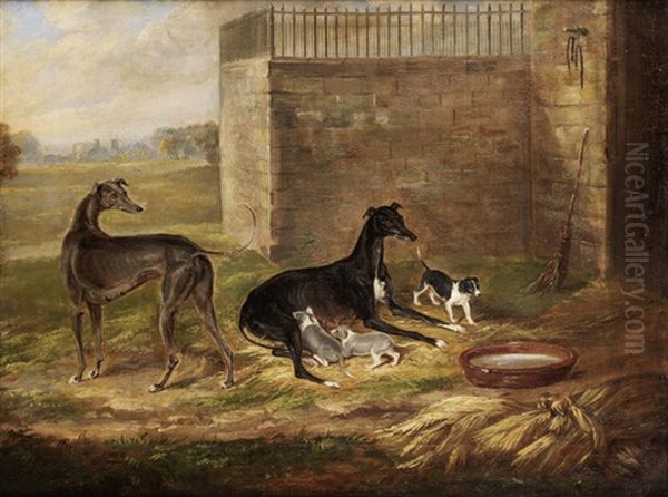 Greyhound Bitch With Puppies - view 1