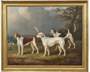 Hounds In A Wooded Pastoral Landscape
