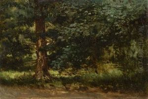 Forest Forest